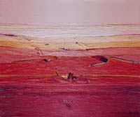 Landscape from Gascoyne region I (2000, ulje na platnu, 33 x 38 cm)